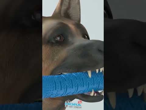 https://youtube.com/shorts/HY_MYWKqmf4