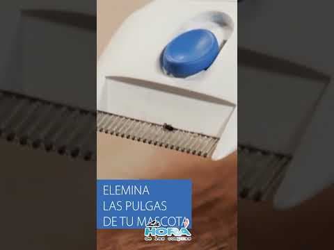 https://youtube.com/shorts/epiFQ89BXTg