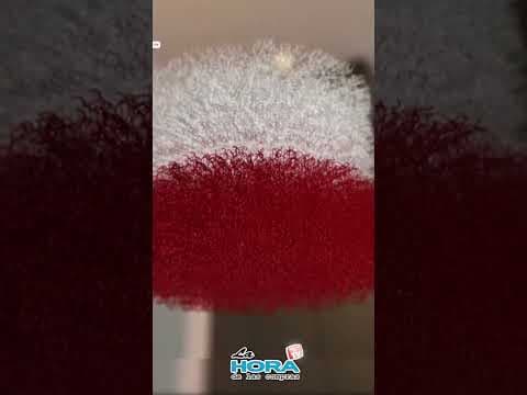 https://youtube.com/shorts/gFSmEISKBQA