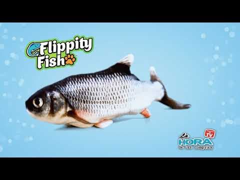 https://youtu.be/q60m_1ODfTk