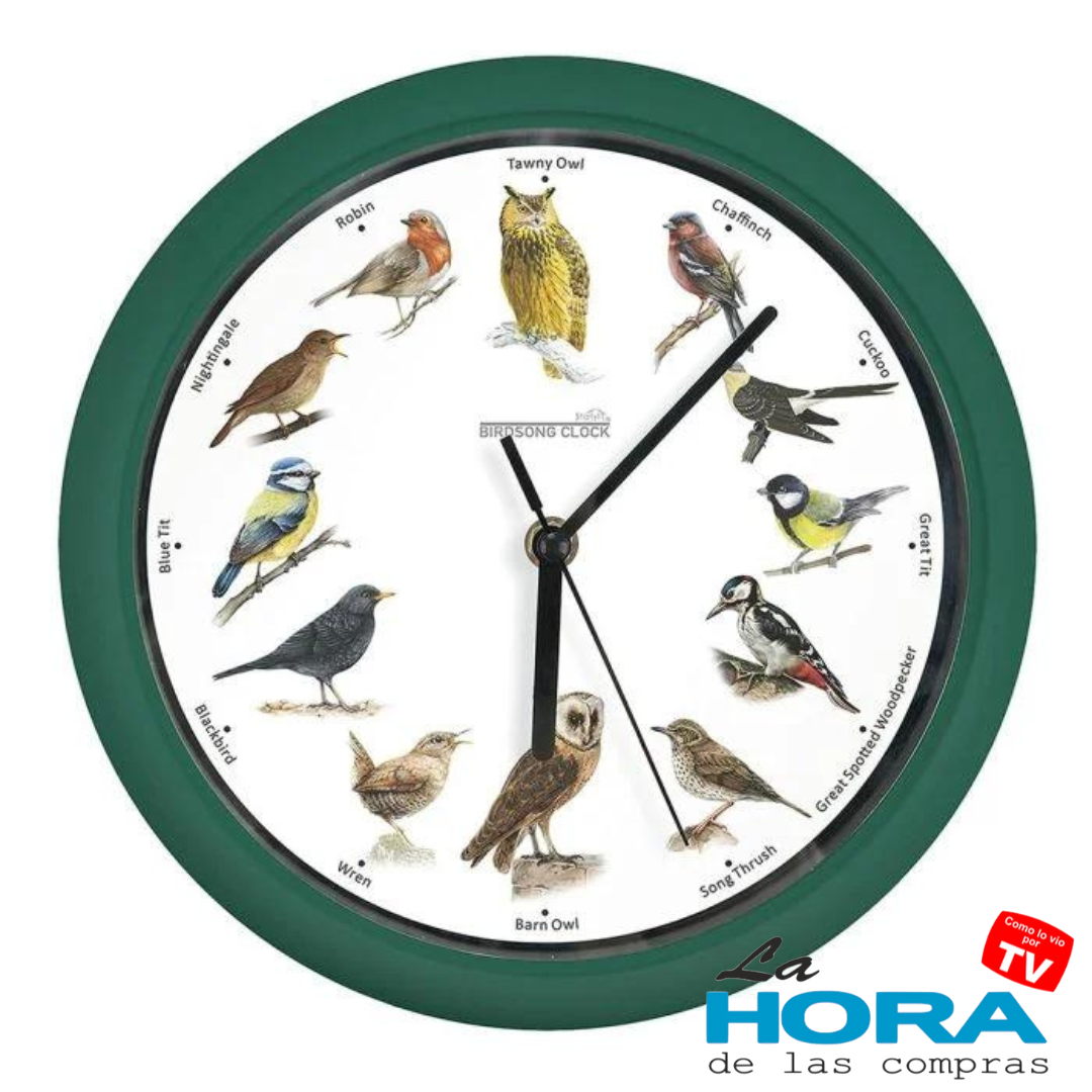 Reloj de Pared Canto de Pajaros Starlyf - PRECIO LANZAMIENTO